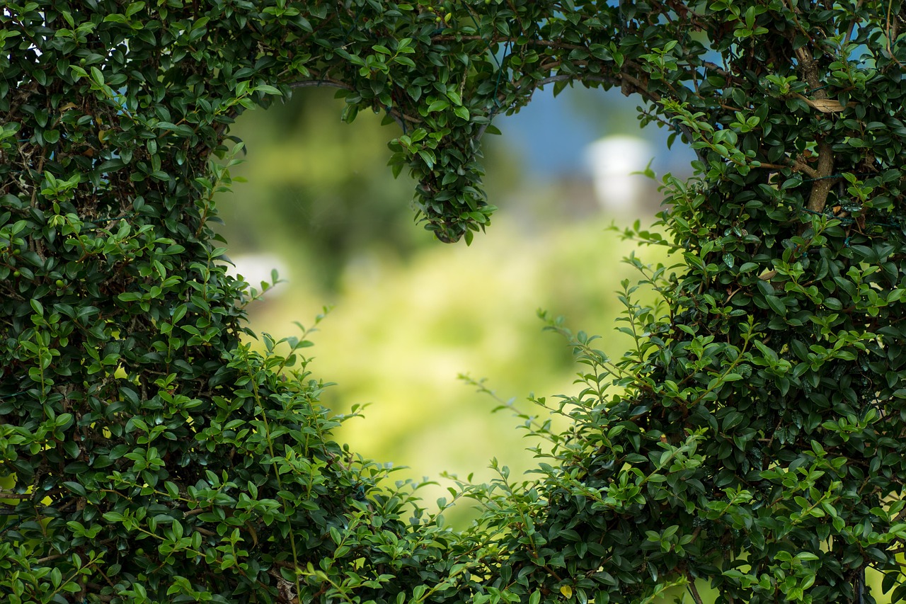 valentines day background, heart, nature, leaves, windows wallpaper, beautiful wallpaper, foliage, garden, wallpaper hd, bush, mac wallpaper, heart shape, love, full hd wallpaper, romance, plants, desktop backgrounds, cool backgrounds, wallpaper 4k, background, 4k wallpaper 1920x1080, 4k wallpaper, zoom background, hd wallpaper, free wallpaper, green background, laptop wallpaper, free background, green heart, green plants